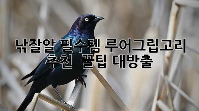 🎣 낚잘알 필수템! 루어그립고리 추천 & 꿀팁 대방출 🍯