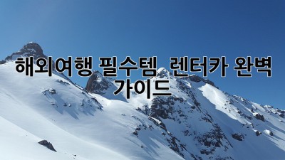 해외여행 필수템! 🚗 렌터카 완벽 가이드