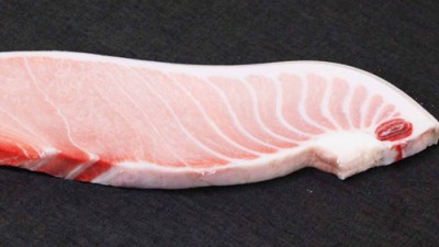 놓치면 후회! 냉동참치배살 1kg 특가 후기 🍣